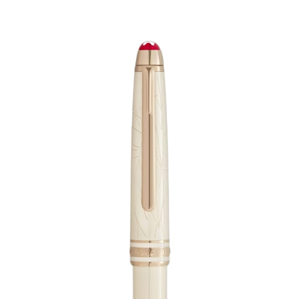 Foto montblanc 4